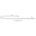 SHOWTEC LED Rubber String Light 10M WW 100 LEDS/10M/LED Space 10cm - Image 4
