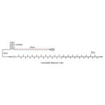 SHOWTEC LED Rubber Twinkle Light20M WW 200 LEDS/20M/LED Space 10cm - Image 4