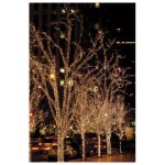 SHOWTEC LED Rubber Twinkle Light20M WW 200 LEDS/20M/LED Space 10cm - Image 5