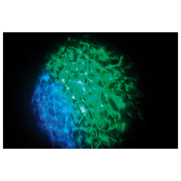 Showtec Hydrogen DMX MKII - Image 8