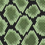Adam Hall Imageboard 9.5 SNAKE - Image 2