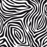 Adam Hall Imageboard 9.5 ZEBRA - Image 2